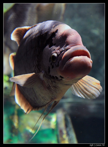 2012 - 06 - Dubai - 030